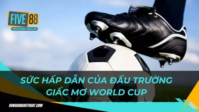 sức hấp dẫn của đấu trường World cup